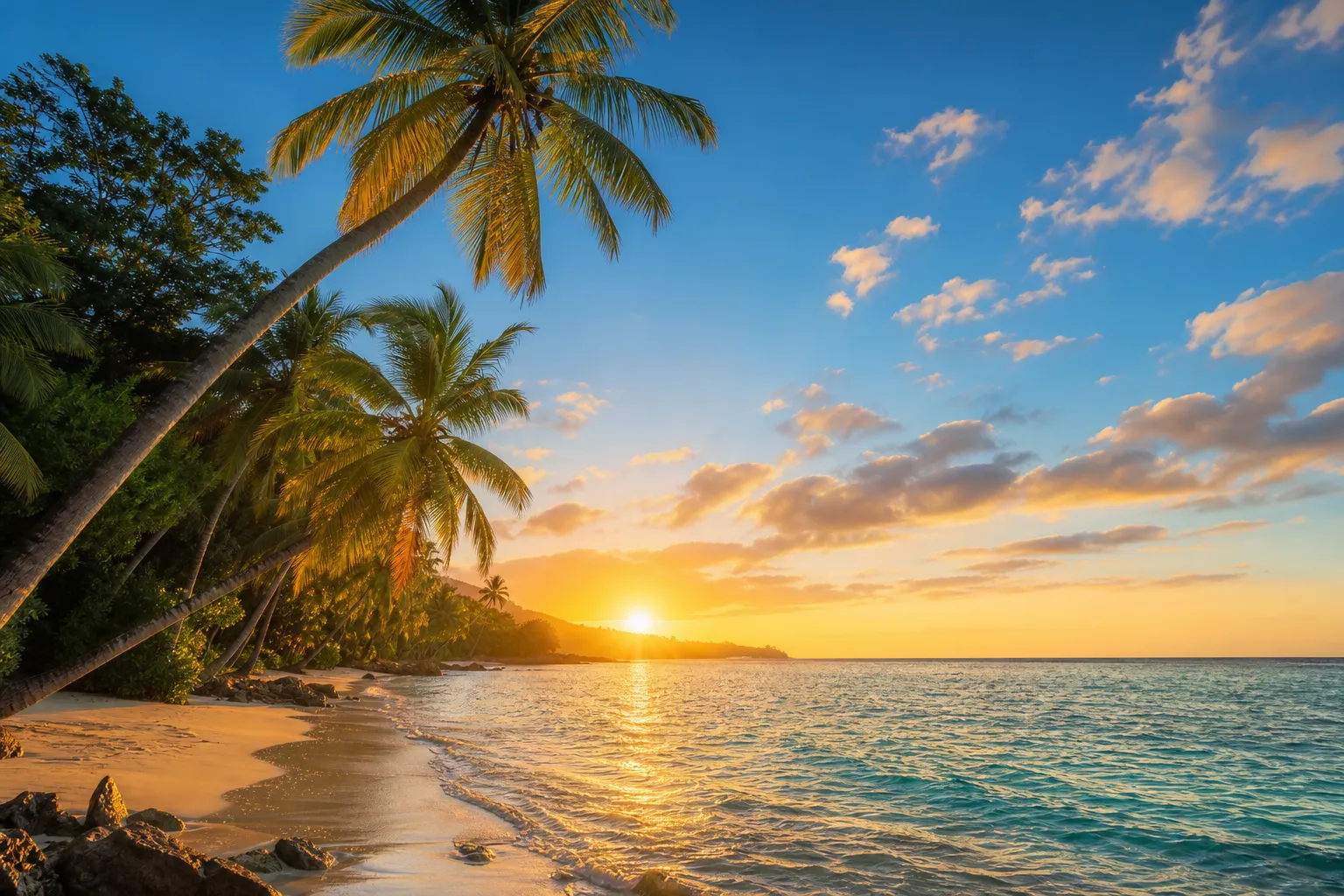 Golden-hour beach in Cabarete with palm trees